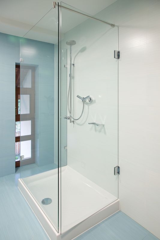 Compact Shower with Niche